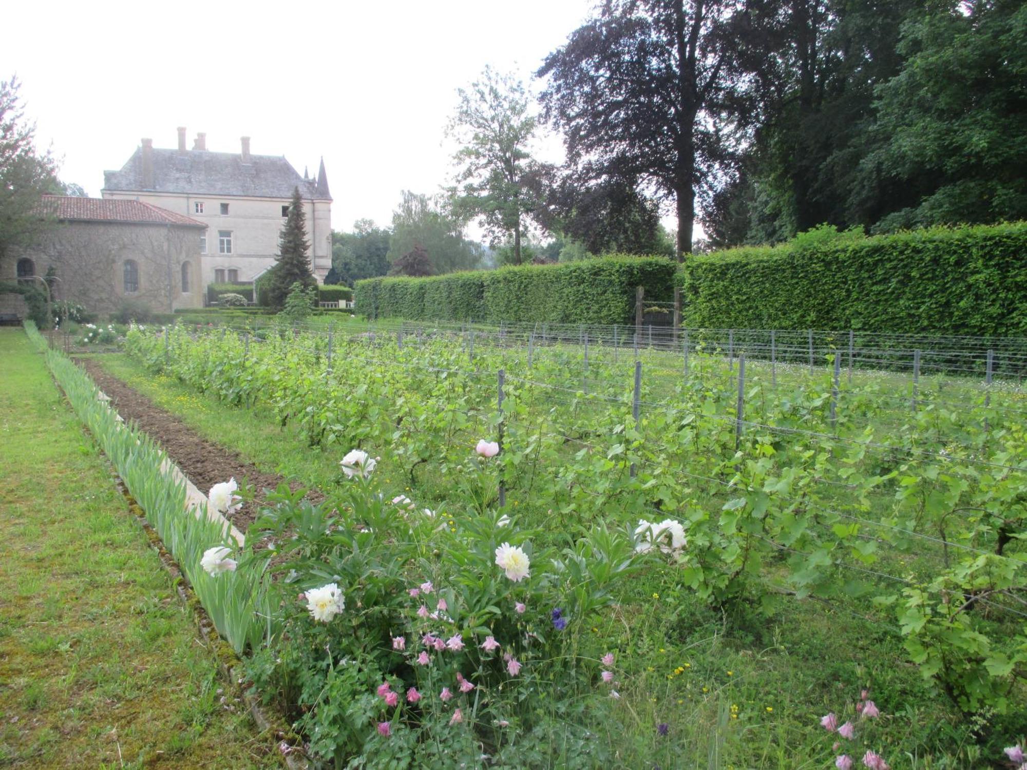 Chateau Des Monthairons Hotel Restaurant Gastromaison Spa Privatif Les Monthairons Exteriör bild